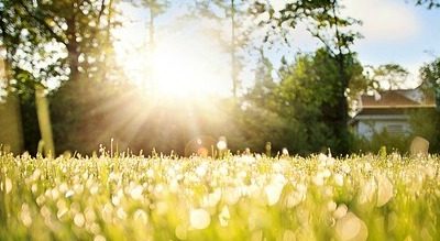 dew-on-grass-788059_640 - Copy